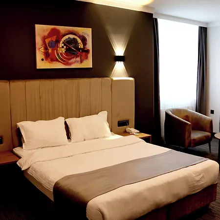 Viplus 5*