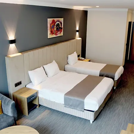 Viplus Hotell Istanbul